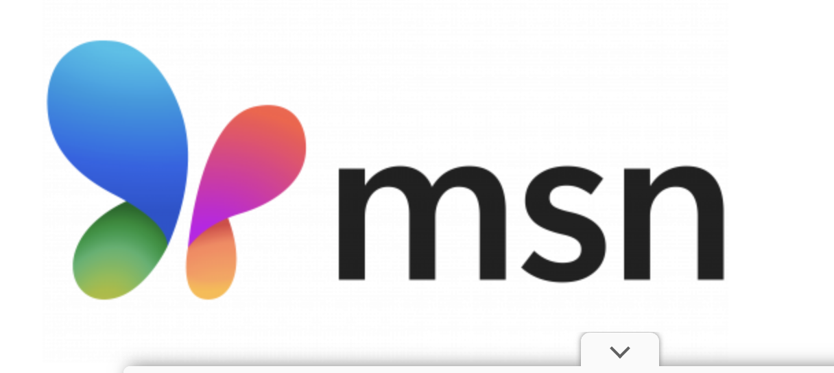 MSN logo
